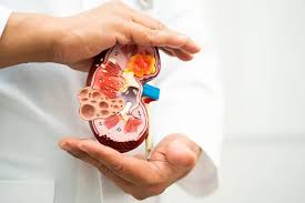 HBest Nephrology Care Hospital Pcmc