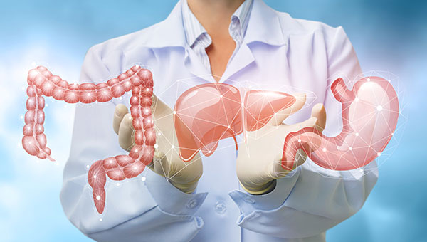 Gastroenterology Suman Specialist Hospital